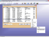 aahdcs2.png (123997 bytes)